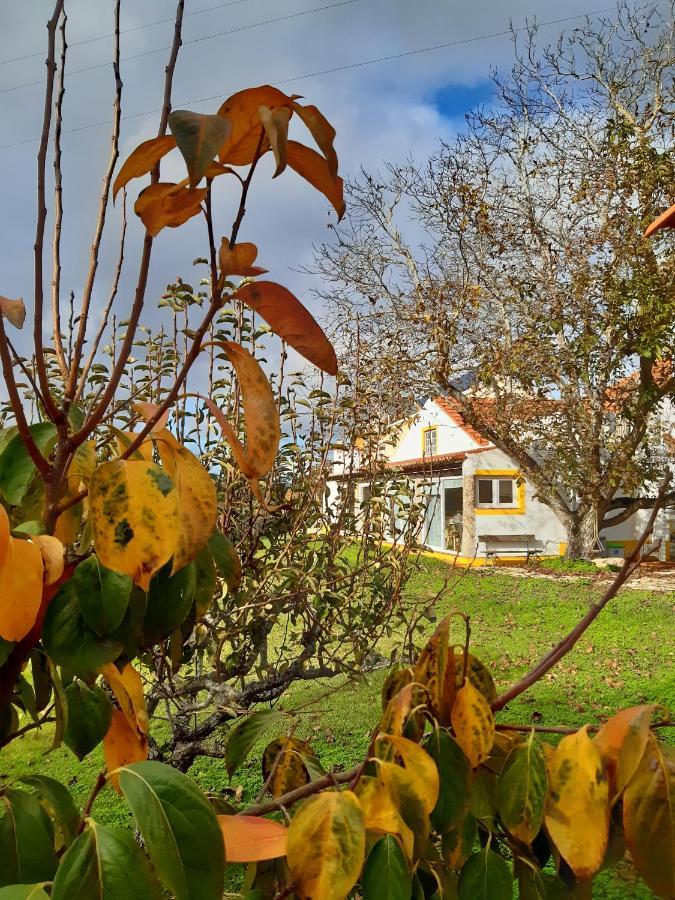 Quintal Do Freixo - Country House Sobral de Monte Agraço Eksteriør billede